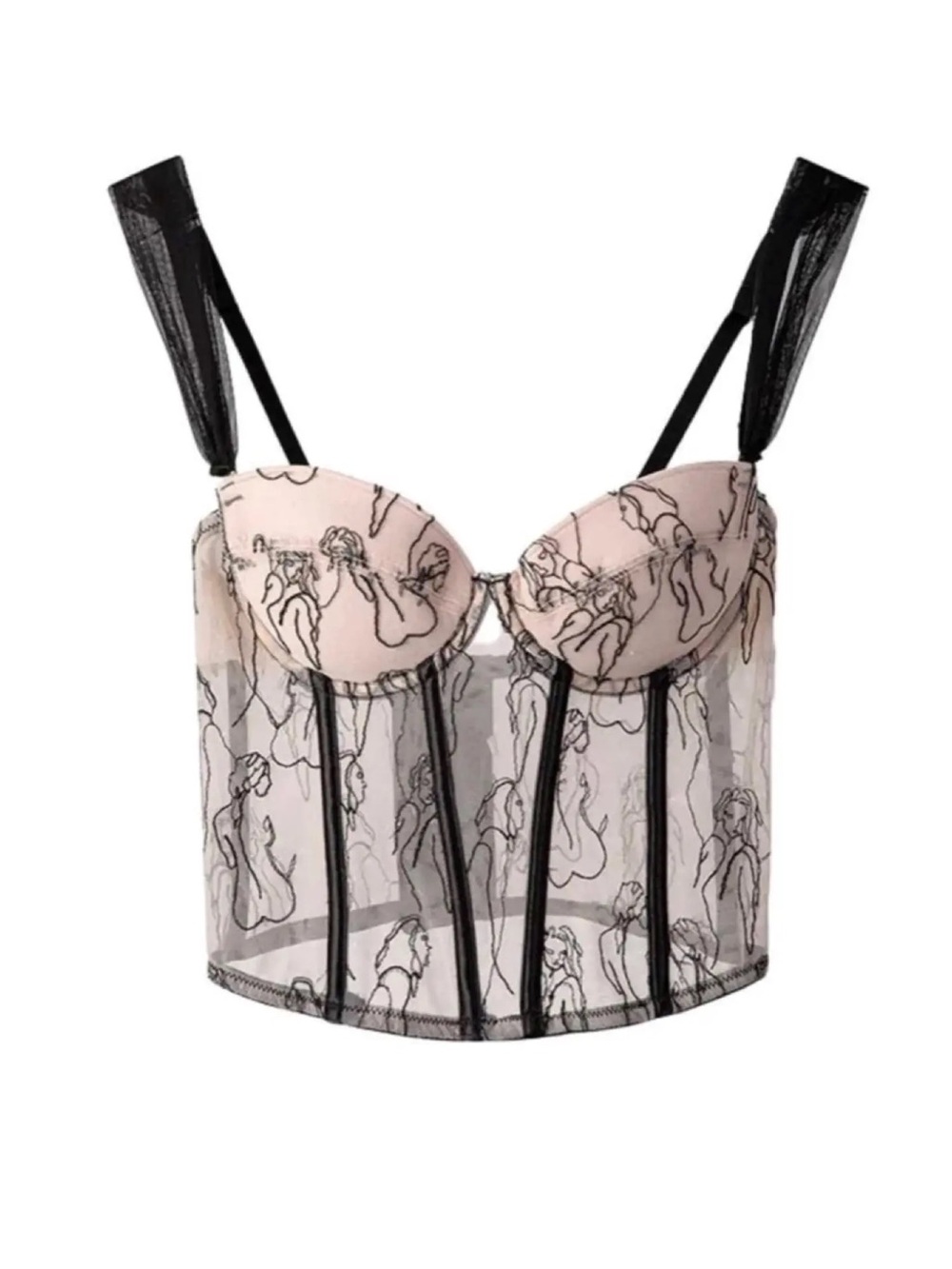 Sheer Embroidered Bustier Corset - Blush & Black